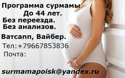 Срочно ищу сурмаму. Срочно ищу сурмаму.
