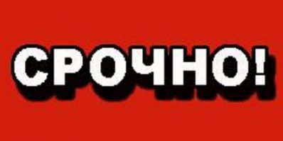 срочно,ищем сур.мамочку срочно,ищем сур.мамочку
