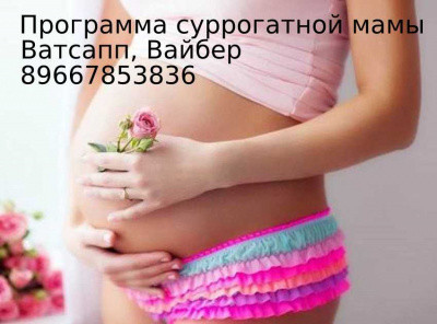 Срочно ищу сурмаму Срочно ищу сурмаму