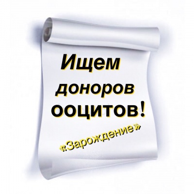 ищу донора яйцеклетки ищу донора яйцеклетки