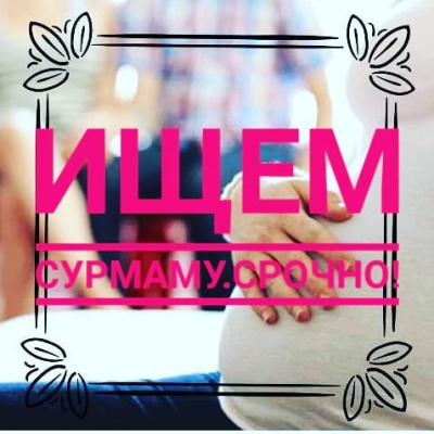 Ищем суррмам в Калининграде Ищем суррмам в Калининграде